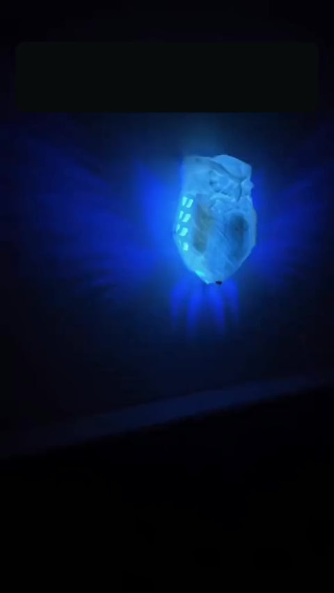 Işık kanatlı baykuş lambası videosu